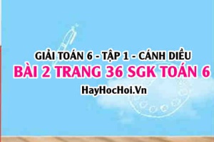 Giải bài 2 trang 36 Toán 6 Tập 1 SGK Cánh Diều